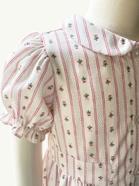 Charlotte Dress in Holiday Dot Stripe