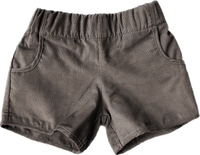 Fuller Short in Cocoa Corduroy