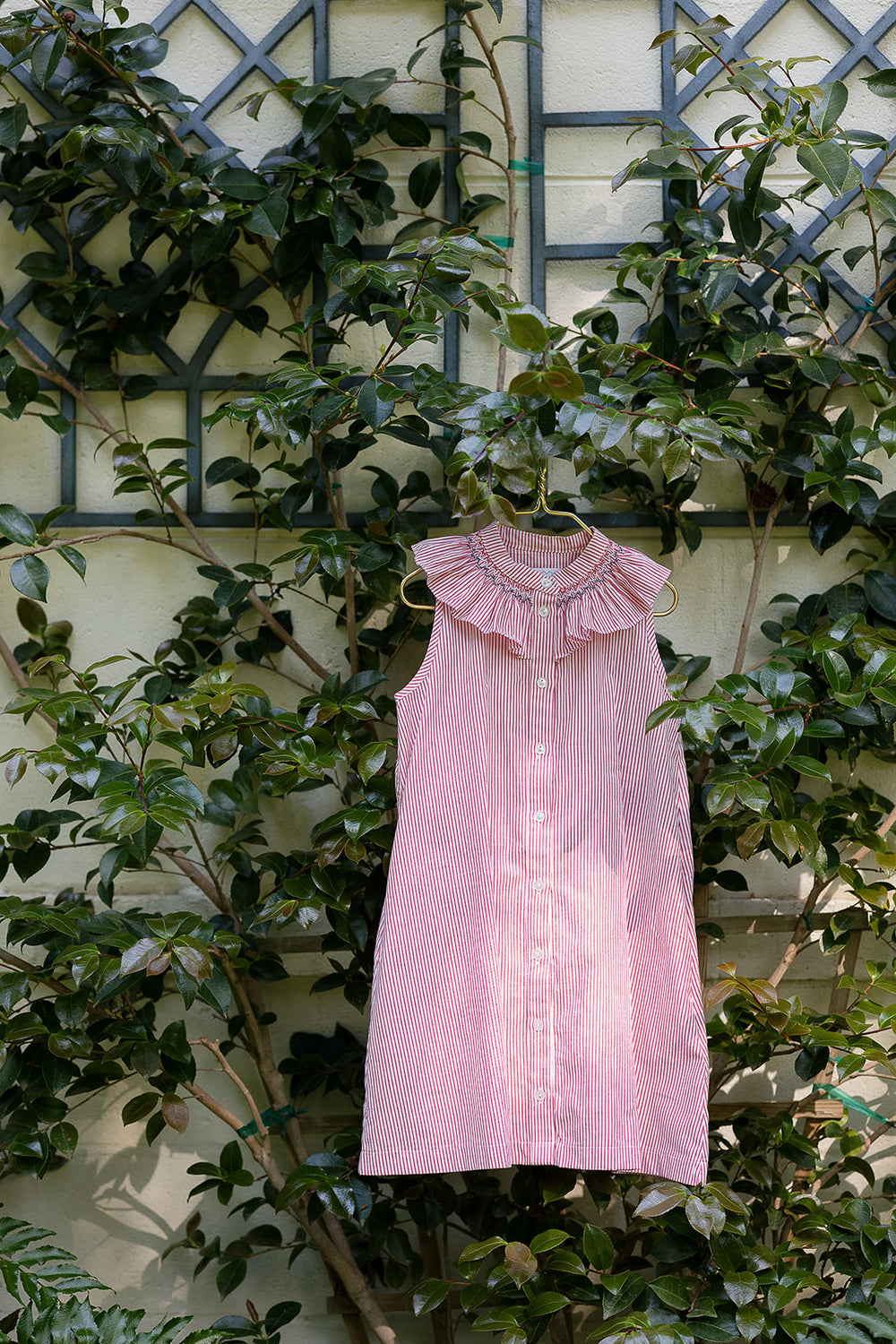 red seersucker dress Molly Anne Dress in Red Seersucker 10