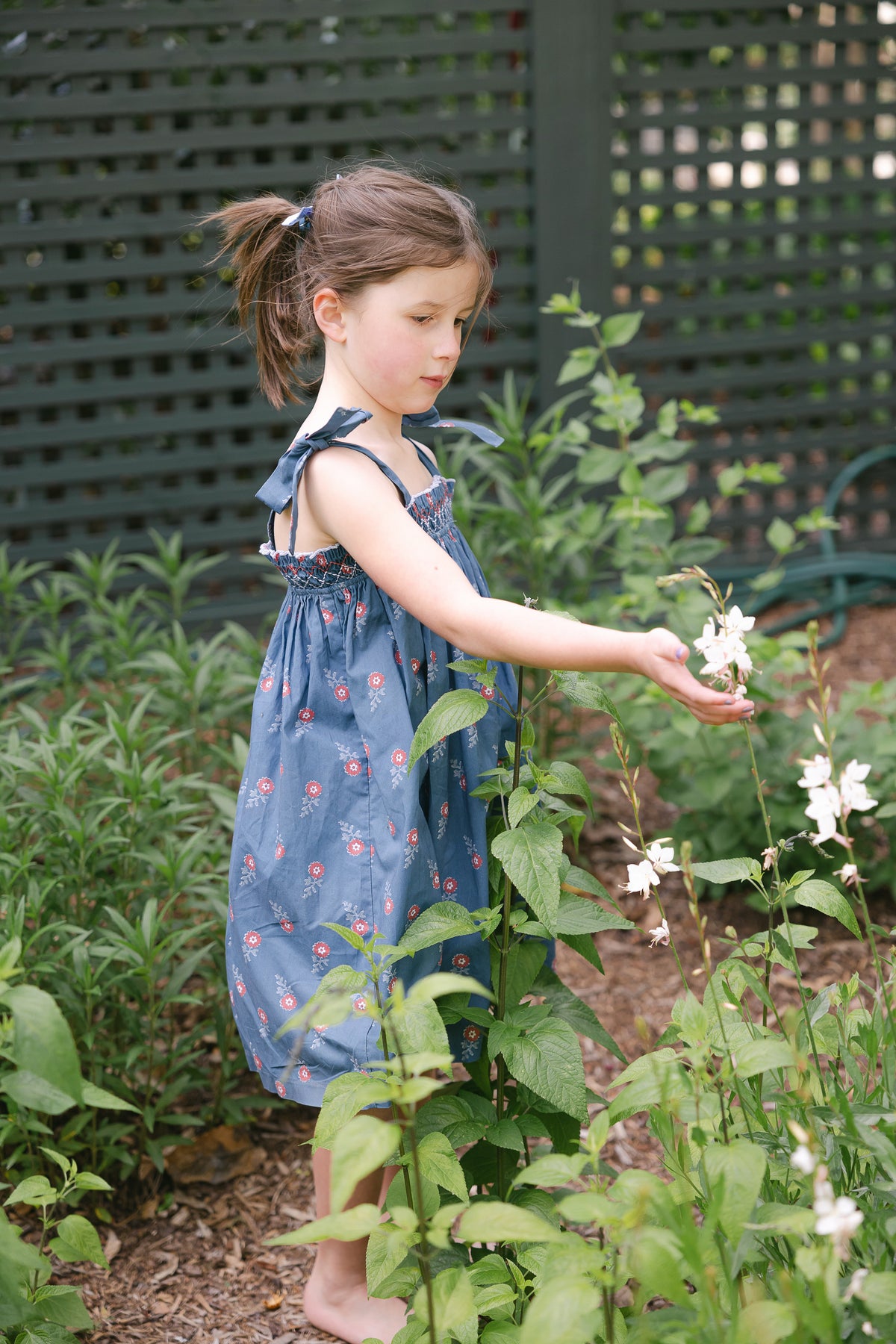 Tate Dress in Aster Flower